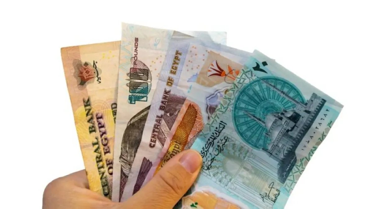 البنك المركزي المصري يؤكد استمرار تداول العملات البلاستيكية فئتي 10 و20 جنيهاً