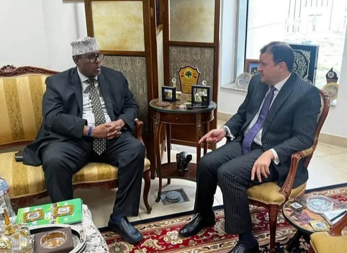 مصر تبحث مع الصومال إطلاق سراح بحارة مصريين وتعزيز الأمن البحري
