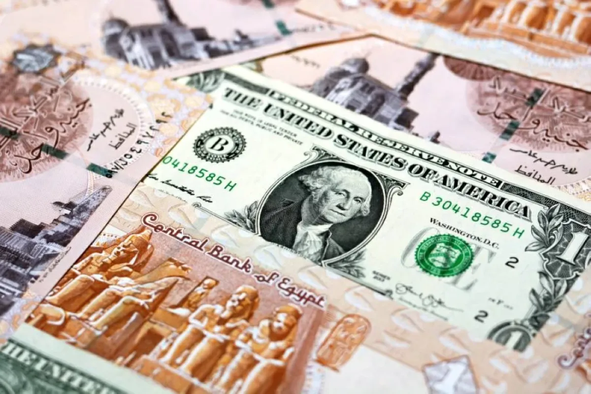 استقرار سعر الدولار في مصر بعد تثبيت الفائدة