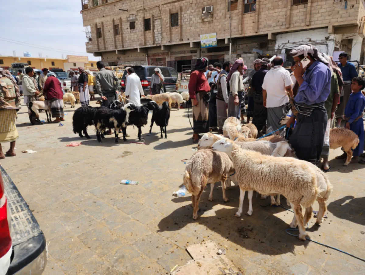 عيد الأضحى في اليمن.. أزمات المعيشة تطفئ فرحة العيد وتثقل كاهل الأسر