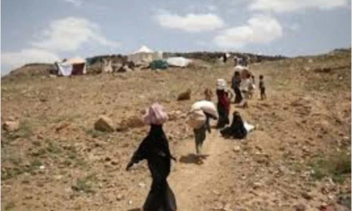الهجرة الدولية: نزوح أكثر من 6,500 شخص في اليمن منذ بداية 2026