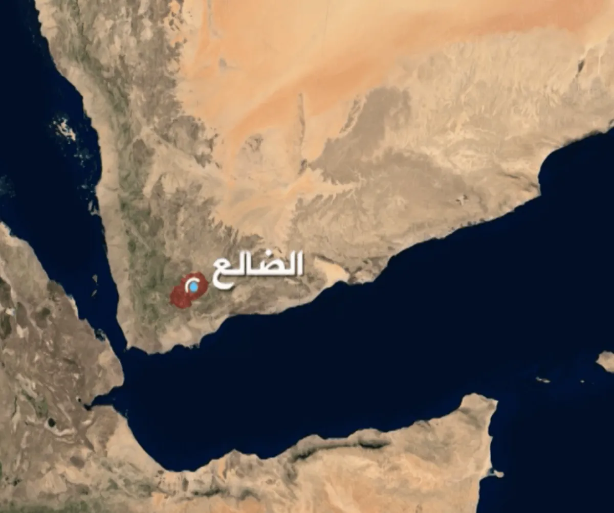 الضالع .. ضبط 5 متهمين في حادثتين أسفرتا عن قتلى وجرحى بينهم طفل
