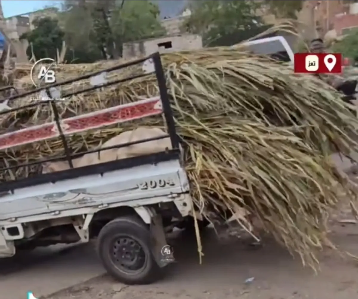 ناشطون يوثقون واقعة " نهب ثور " من أضاحي الجمعيات بتعز
