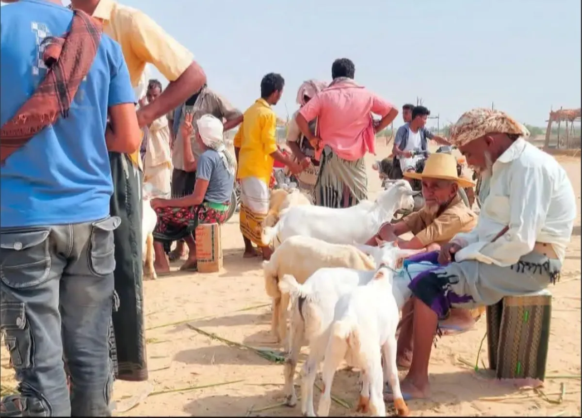 حجة: حصار وعزلة يخنقان حياة السكان في المديريات المحررة