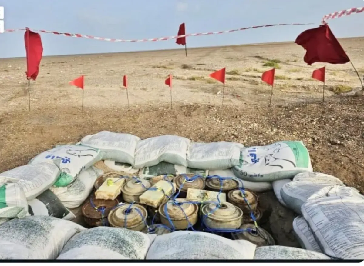 «مسام» ينتزع 798 لغماً وذخيرة غير منفجرة من مخلفات مليشيا الحوثي خلال أسبوع