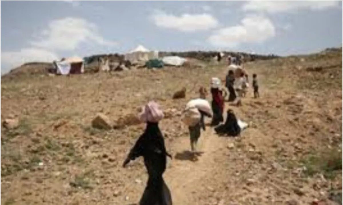 الهجرة الدولية: نزوح 19 أسرة في اليمن خلال أسبوع