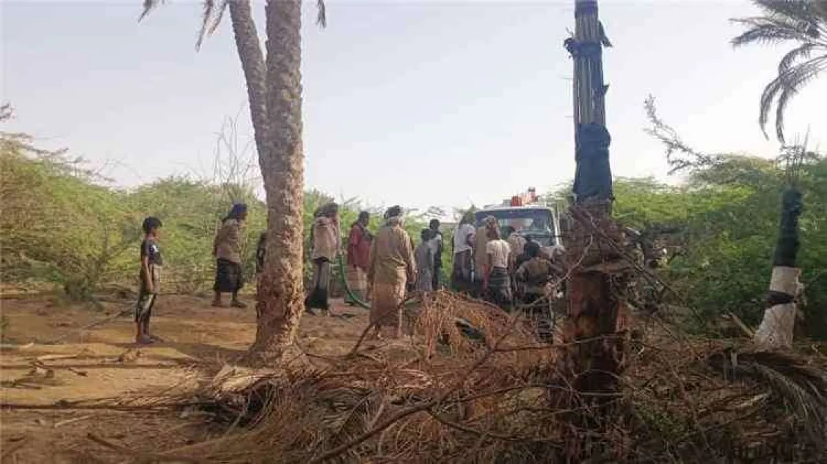 حريق ضخم يدمر منازل وأشجار نخيل في شبوة