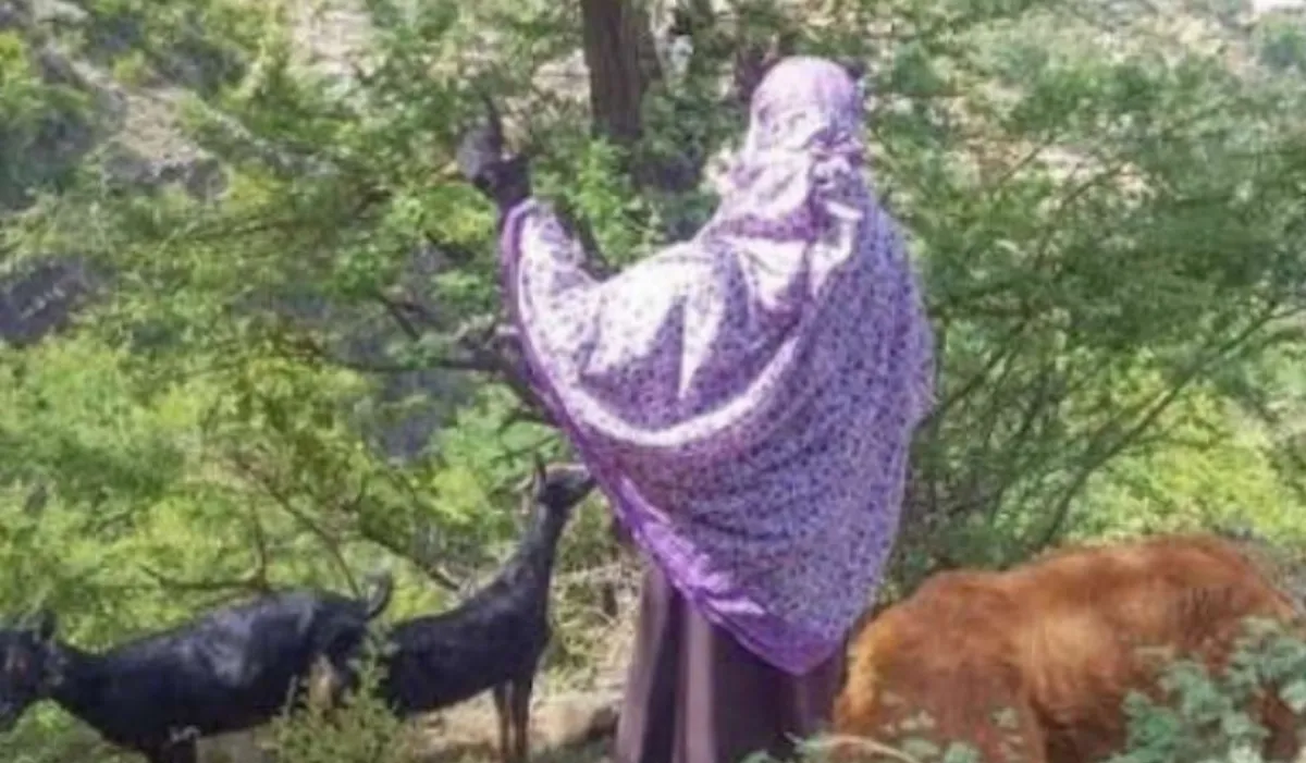 إب.. مسلح حوثي يقتل مسنة بسبب دخول أغنامها مزرعته في فرع العدين
