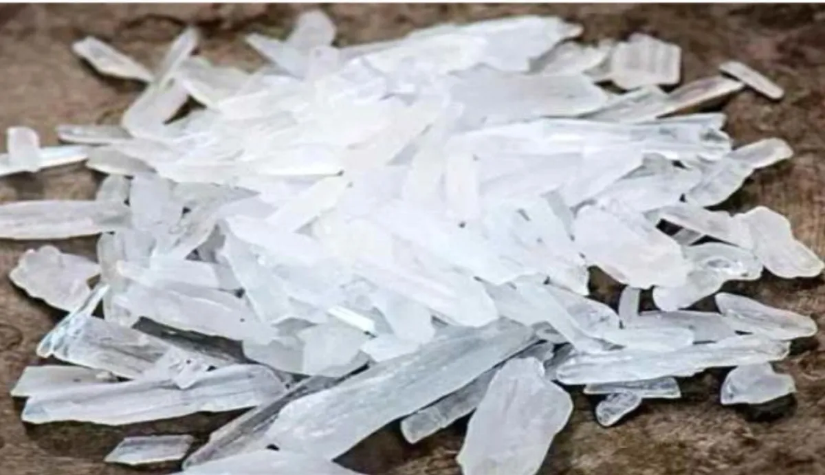 الإطاحة بمروج شبو في المهرة