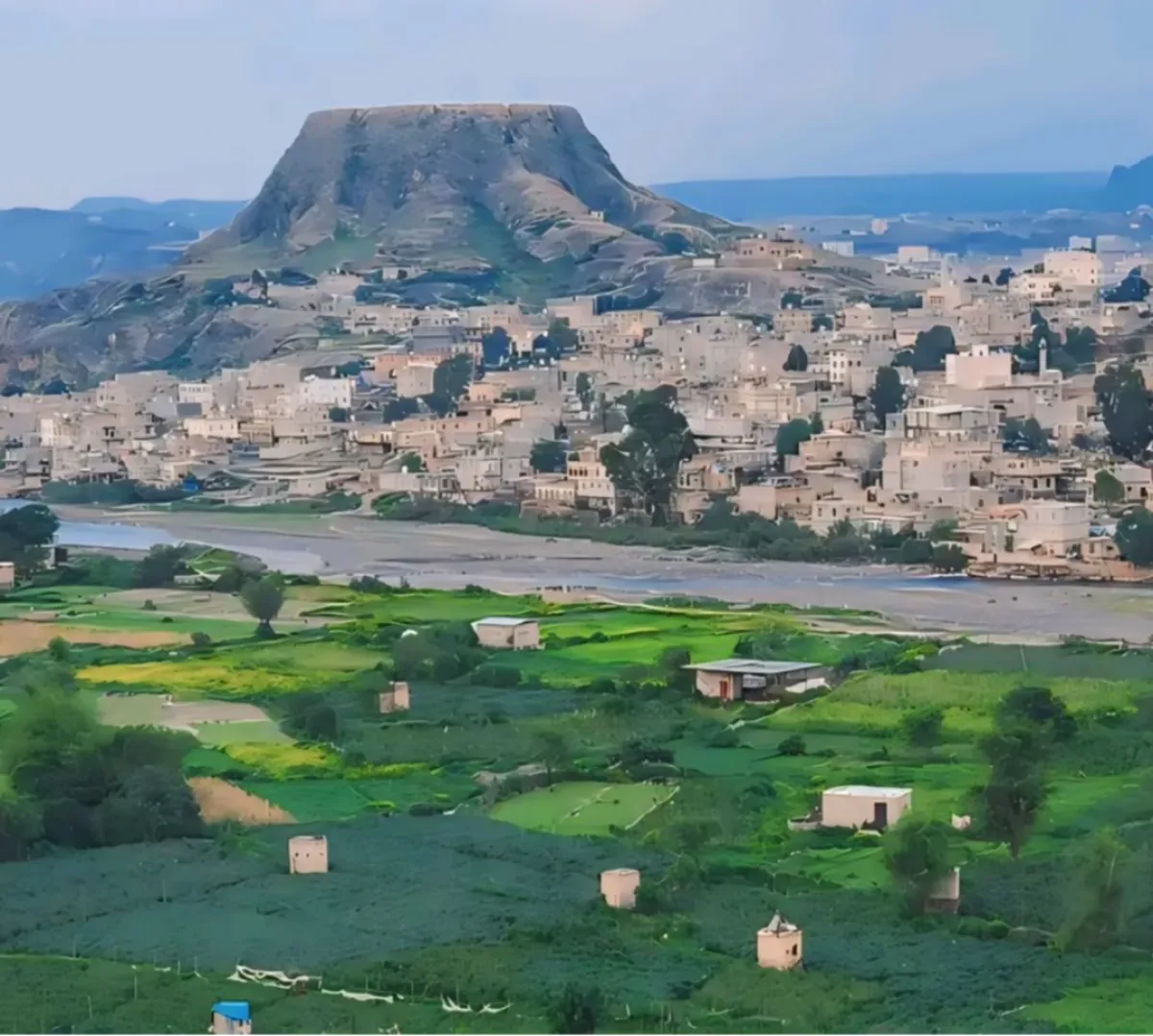 المواطنون ينظمون عصيانًا غير معلن وينتظرون ساعة الصفر .. مليشيا الحوثي تعيش حالة من الرعب في دمت