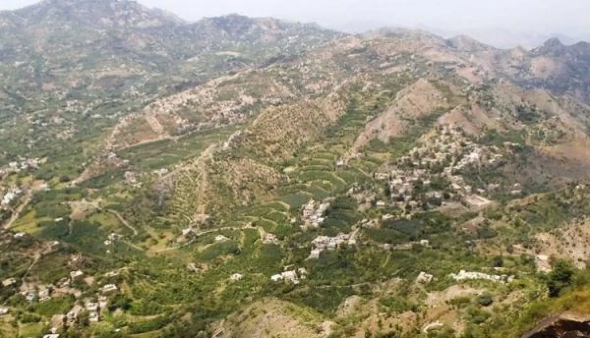 الحوثيون يشعلون التوتر في تعز بتصعيد عسكري واستفزازات جديدة
