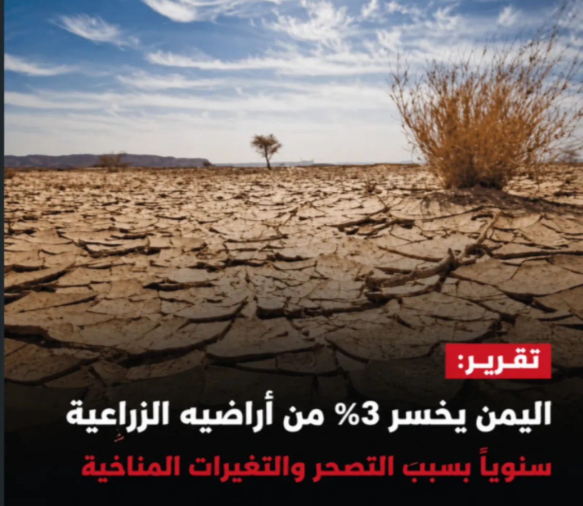 تقرير: اليمن يخسر 3% من أراضيه الزراعية سنويًا بسبب التصحر والتغيرات المناخية