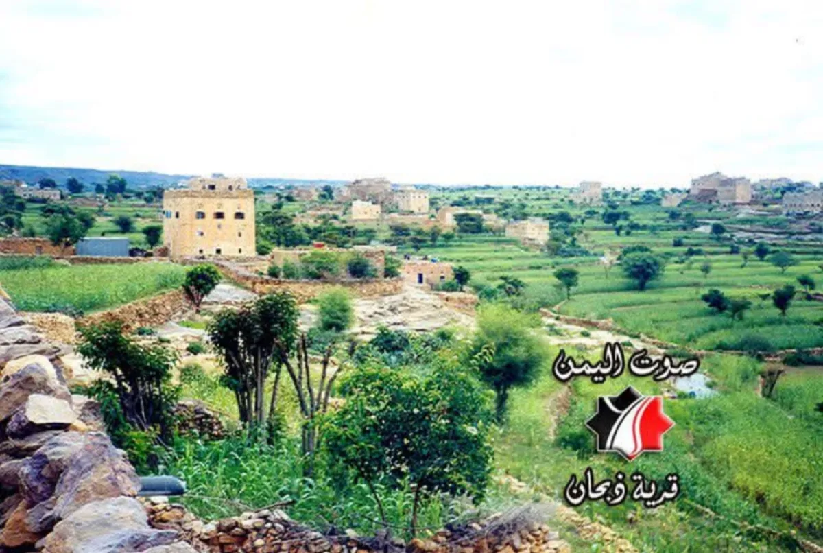غرق الطفلة "إليا" في بركة مياه بمنطقة الجبانة - ذبحان