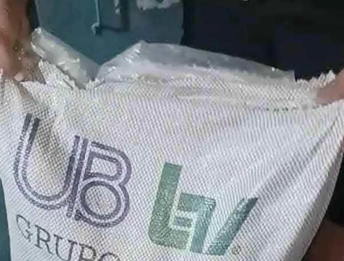 آلاف من خلايا النحل سقطت صريعة .. حلاوة الموت.. عندما يُباع السكر البرازيلي "المشبع بالمعادن الثقيلة" بابتسامة رخيصة!