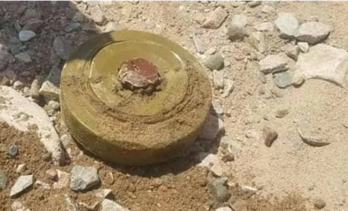 استشهاد طفل بانفجار لغم حوثي مموه في حيس جنوب الحديدة