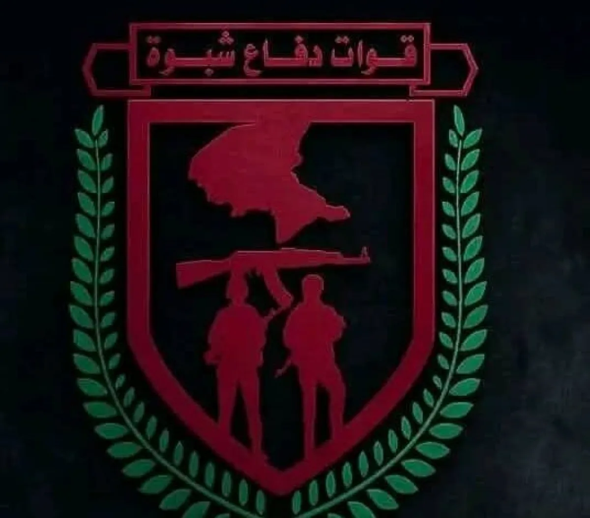قوات شبوة تحبط هجمات حوثية وتكبدها خسائر في جبهات متعددة