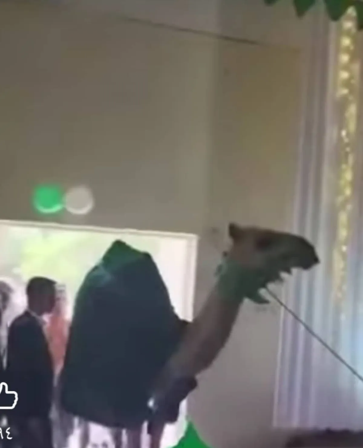 جعلوا من المولد النبوي مناسبة للخرافة والدجل .. تبرك وإستقبال قيادات جامعة ذمار بناقة الارهابي عبد الملك الحوثي يتير حالة من الإستياء