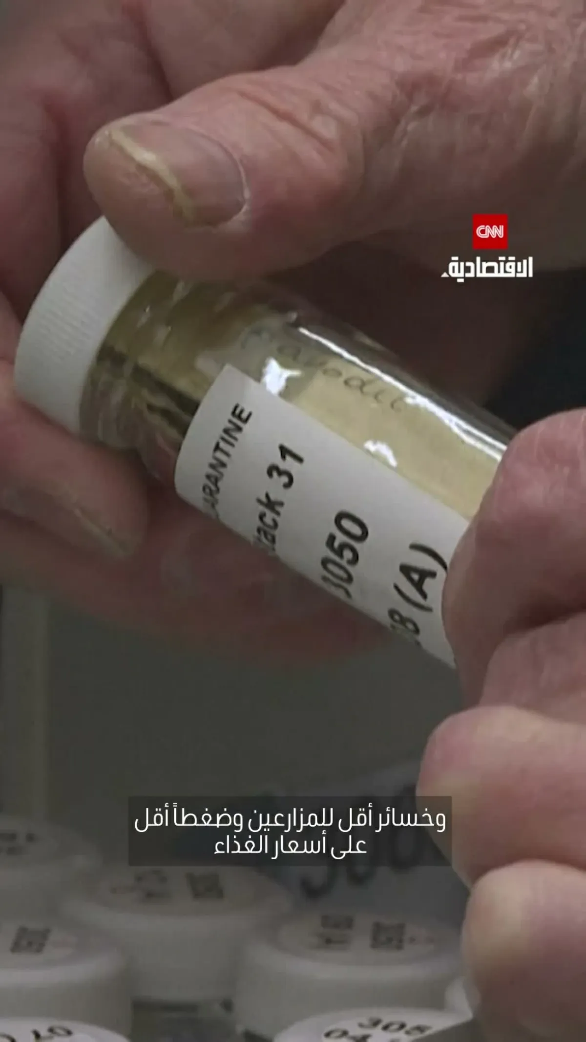 سوريا: الحفاظ على البذور المحلية ضمان للأمن الغذائي المستقبلي