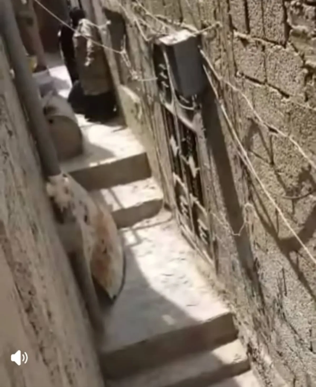 رجل يستعين بالشرطة النسائية لطرد والدته من المنزل في تعز