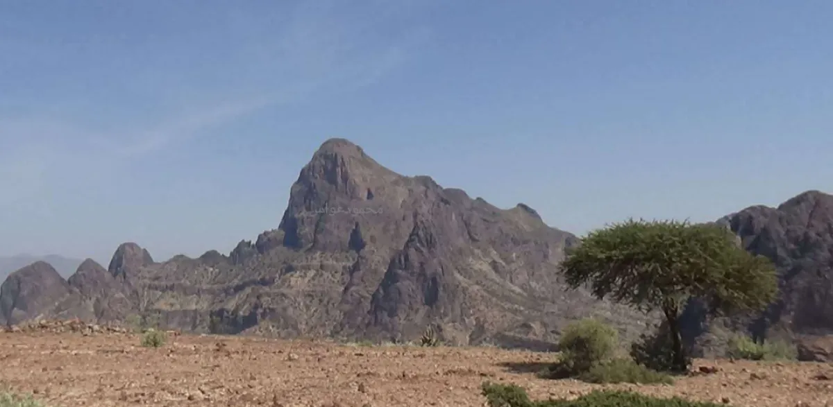 مصرع طفل إثر سقوطه من جبل أثناء رعي الأغنام بالضالع