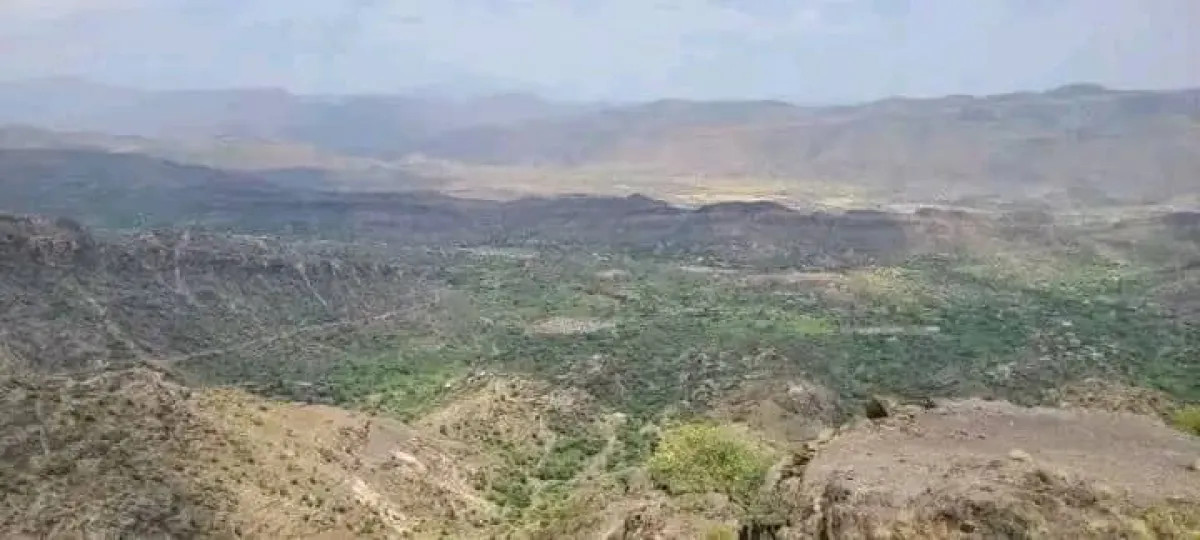بعد معارك عنيفة مع عصابة الحوثي:  القوات الحكومية تستعيد جبل نعمان الاستراتيجي غربي تعز