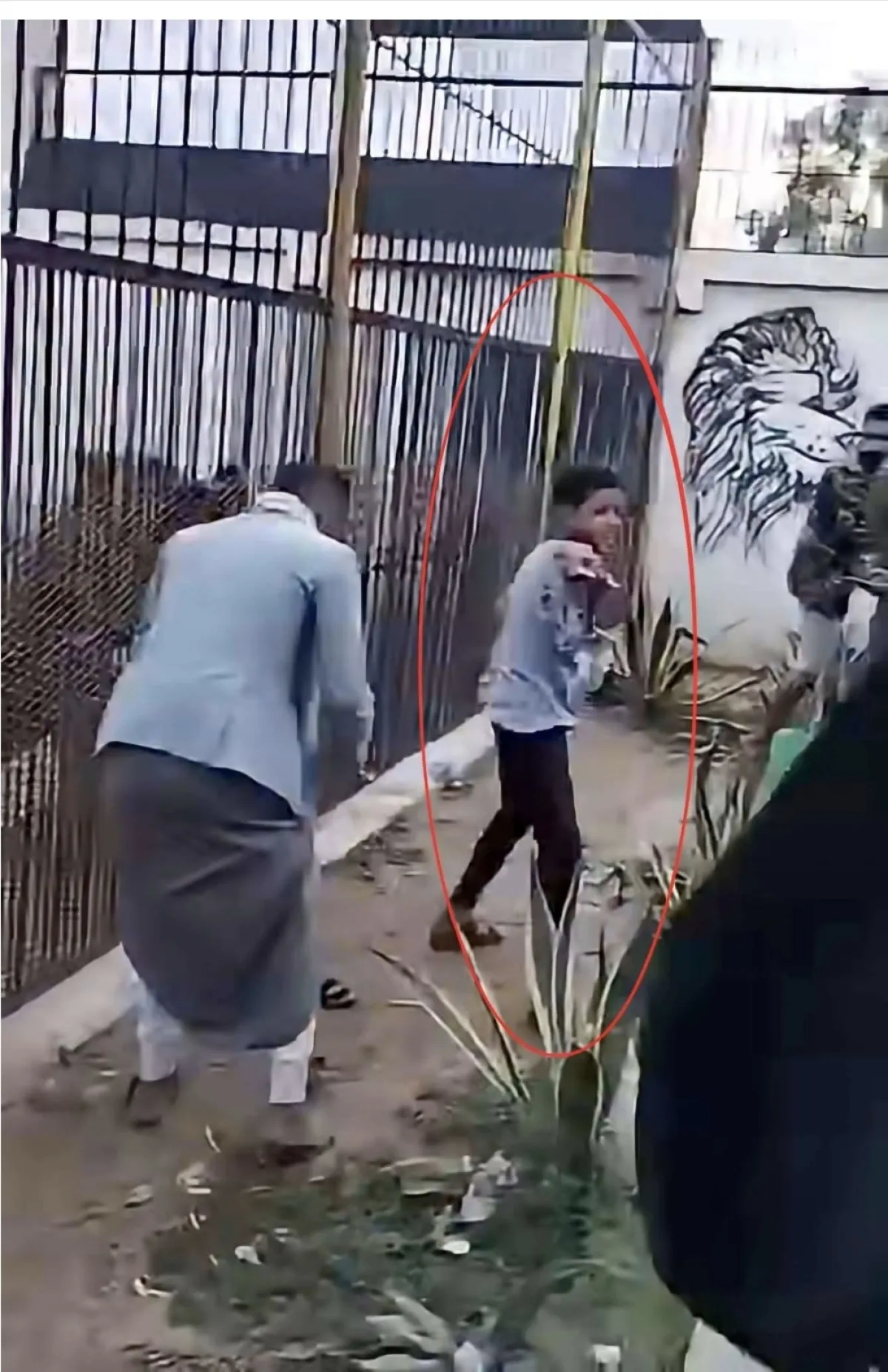 إصابة طفل بهجوم نمر في حديقة بصنعاء تفضح فوضى السلامة تحت إدارة الحوثيين