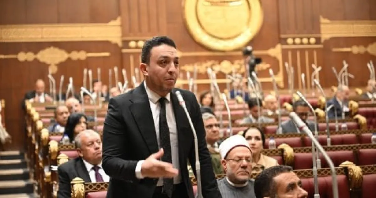 أبو زهرة: تنسيق مصر والسعودية ضروري لمواجهة تحديات المنطقة