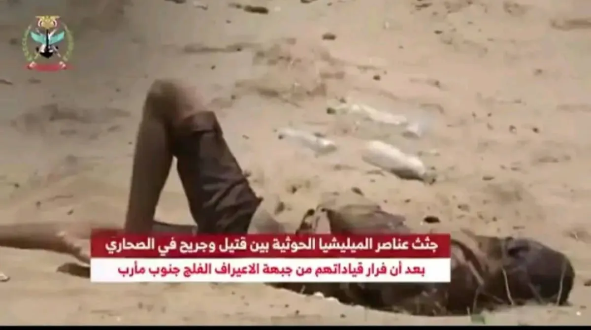 خسائر حوثية كبيرة جنوب مأرب .. جرحى ينزفون وجثامين تُترك في الميدان