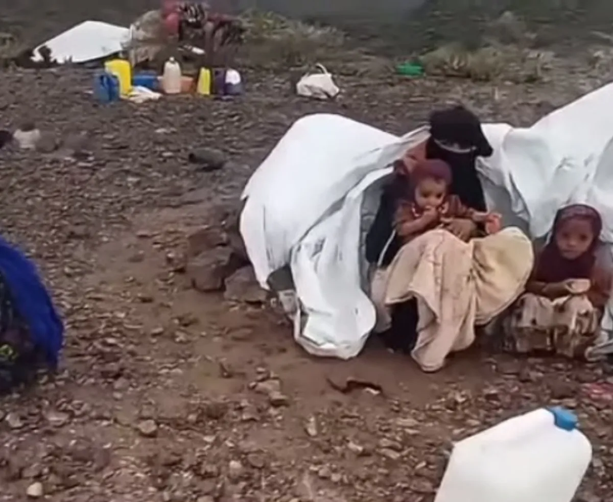 طلال الزريقي