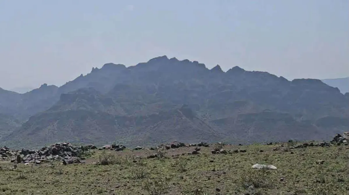 قبضة الجيش تقرع مواقع المليشيا في البيضاء وتُسقط مسيّرة بشبوة وسقوط متواصل لأوهام الحوثيين الإرهابية