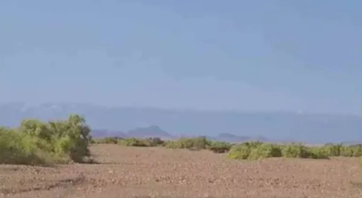 بـ 100 ألف ريال.. الحوثيون يساومون أم على جثة ابنها  بالوازعية فتدفنه بيديها في شِعب جبلي
