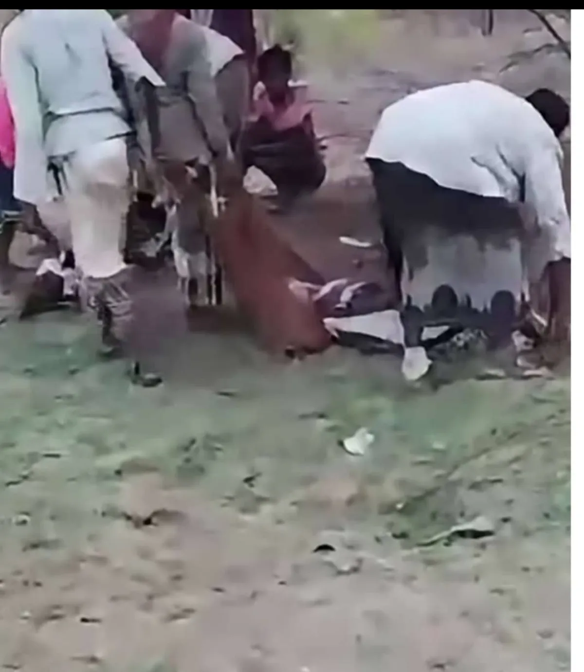 الحديدة.. استشهاد مزارعين بانفجار لغم من مخلفات مليشيا الحوثي في حيس
