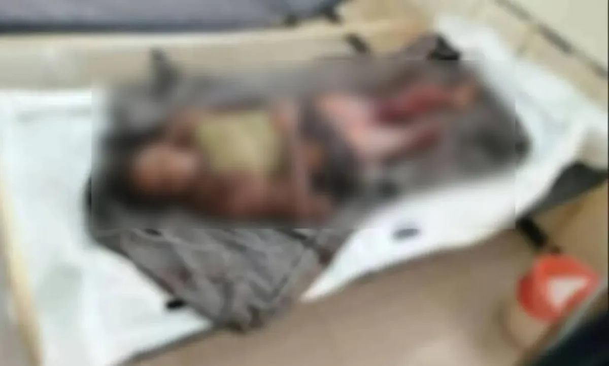 استشهاد طفل بانفجار لغم حوثي في الحديدة