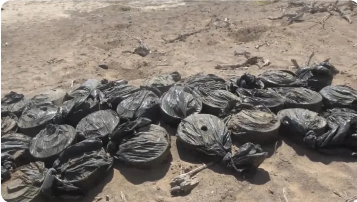 لغم حوثي ينهي حياة شقيقين أثناء رعي الأغنام جنوبي الحديدة